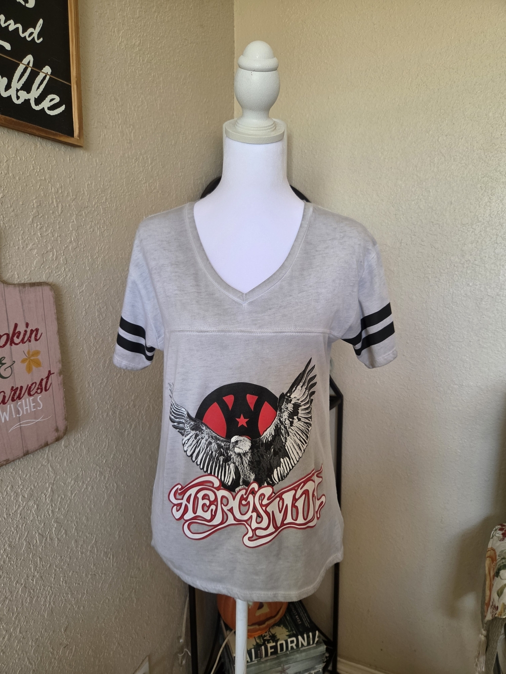 Light Gray V-Neck Eagle Graphic Tee with Red Accents